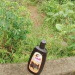 Dầu gội Bồ kết suôn mượt Thorakao 750ml